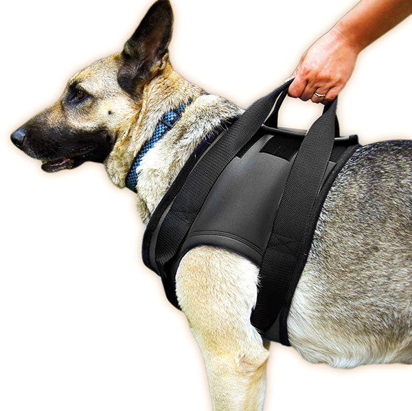 Rehabilitation / Therapy harness – Front - JULIUSK9® CANADA