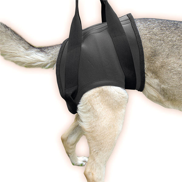 Rehabilitation Harness – Hind - JULIUSK9® CANADA