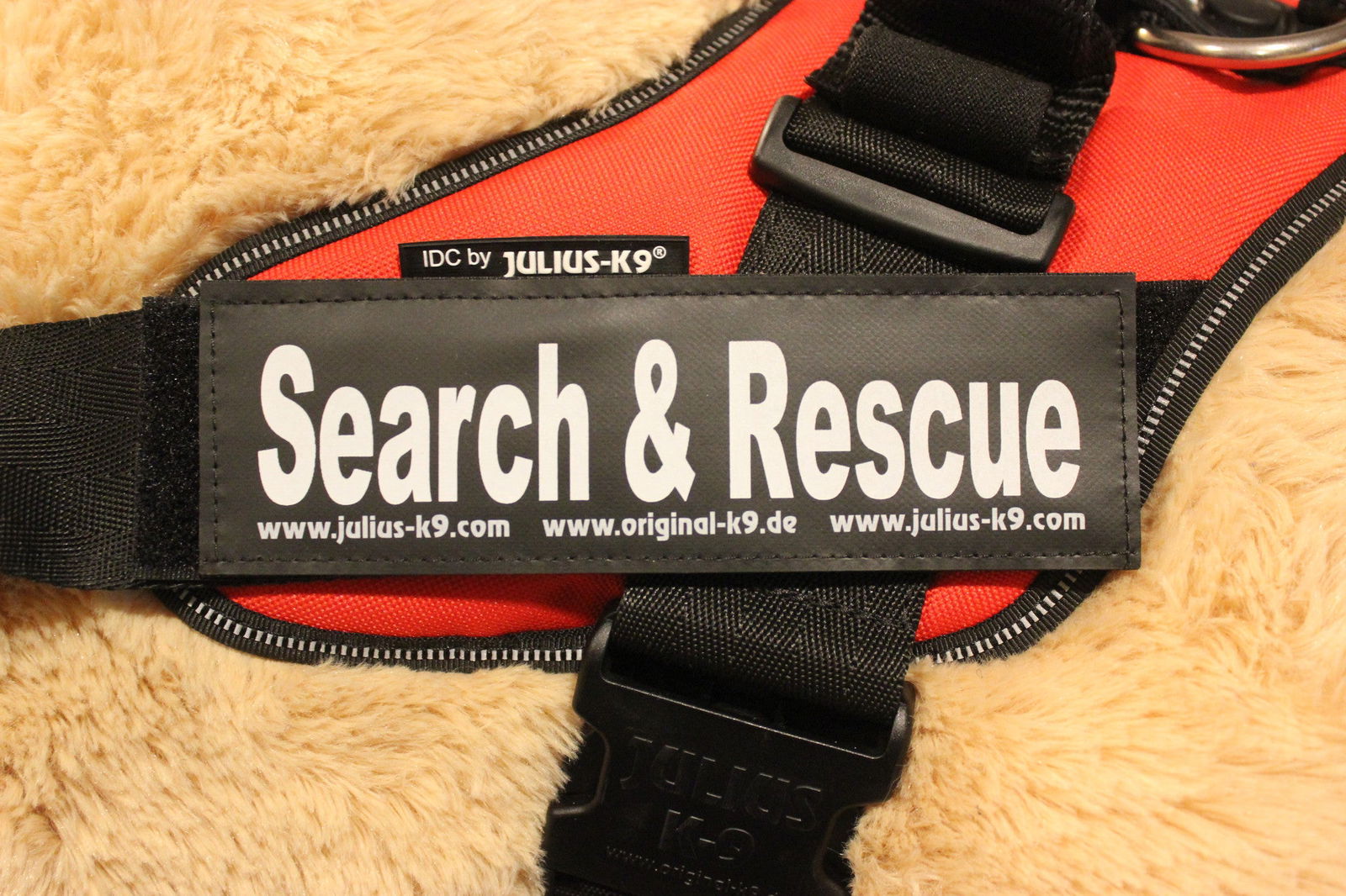 "Search and Rescue" Large Harness Labels - Set of 2 Labels / patches - JULIUSK9® CANADA
