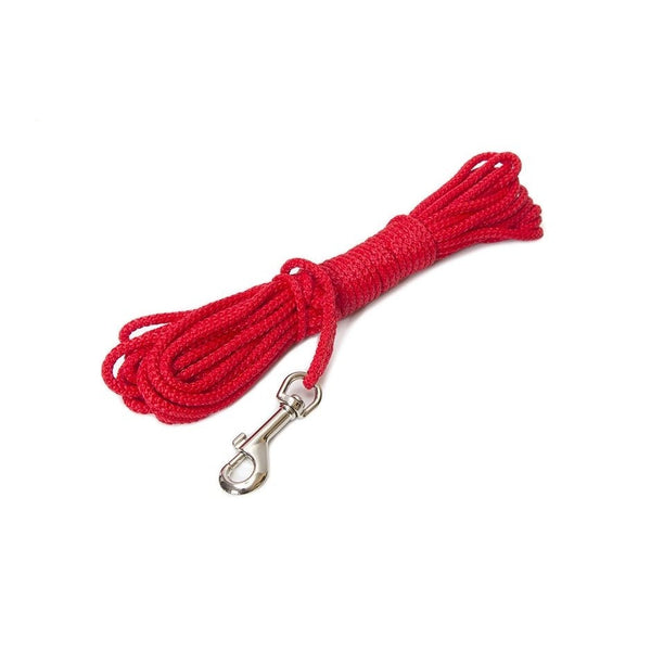 Swimming Leash - JULIUSK9® CANADA