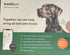 files/TrackiPet_GPS_Tracker_for_Pets_-_JULIUSK9_CANADA-5954693.jpg