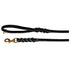 files/leather_leash_1.9M.webp