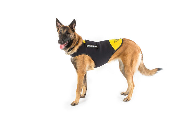 IDC Neoprene Waterproof Dog Vest -All Weather Vest - JULIUSK9® CANADA