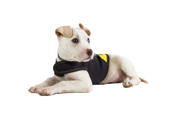 IDC Neoprene Waterproof Dog Vest -All Weather Vest - JULIUSK9® CANADA