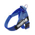 IDC® Belt Harness