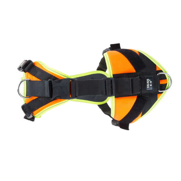 Mantrailing Dog Harness - UV Orange - Large & X Large - JULIUSK9® CANADA