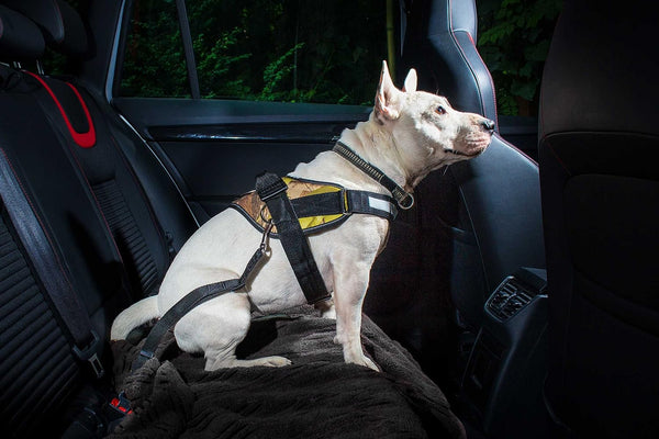 Julius-K9 Seat Belt Connector Dogs Up To 55 Lbs/25 Kg Safety Seat Belt