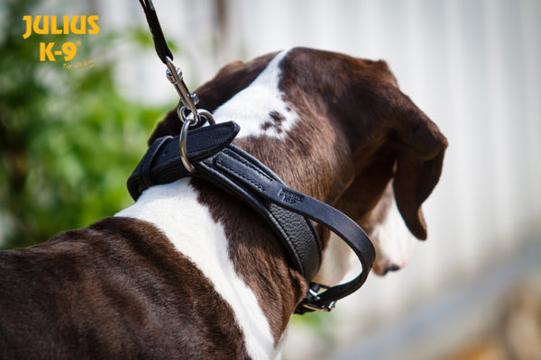 Eco Leather Dog Collar