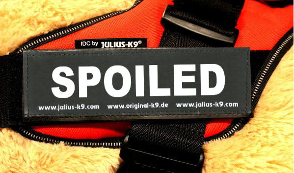 "SPOILED" Large / Small Harness Labels - Set of 2 Labels / patches - JULIUSK9® CANADA