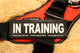 "In Training" Large / Small Harness Labels - Set of 2 Labels / patches