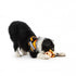 products/jk9-rubber-dog-ball-training-toy.jpg