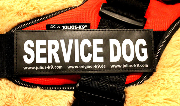 "Service Dog" Large Harness Labels - Set of 2 Labels / patches - JULIUSK9® CANADA
